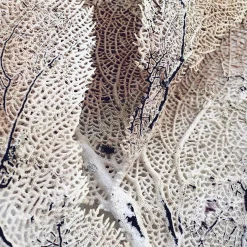 Art Print Curly soft coral - zelf samenstellen - Loft24.nl