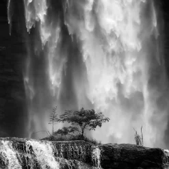 Art Print Germinate - zelf samenstellen - Loft24.nl