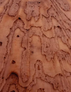 Art Print Layered pink brains - zelf samenstellen - Loft24.nl