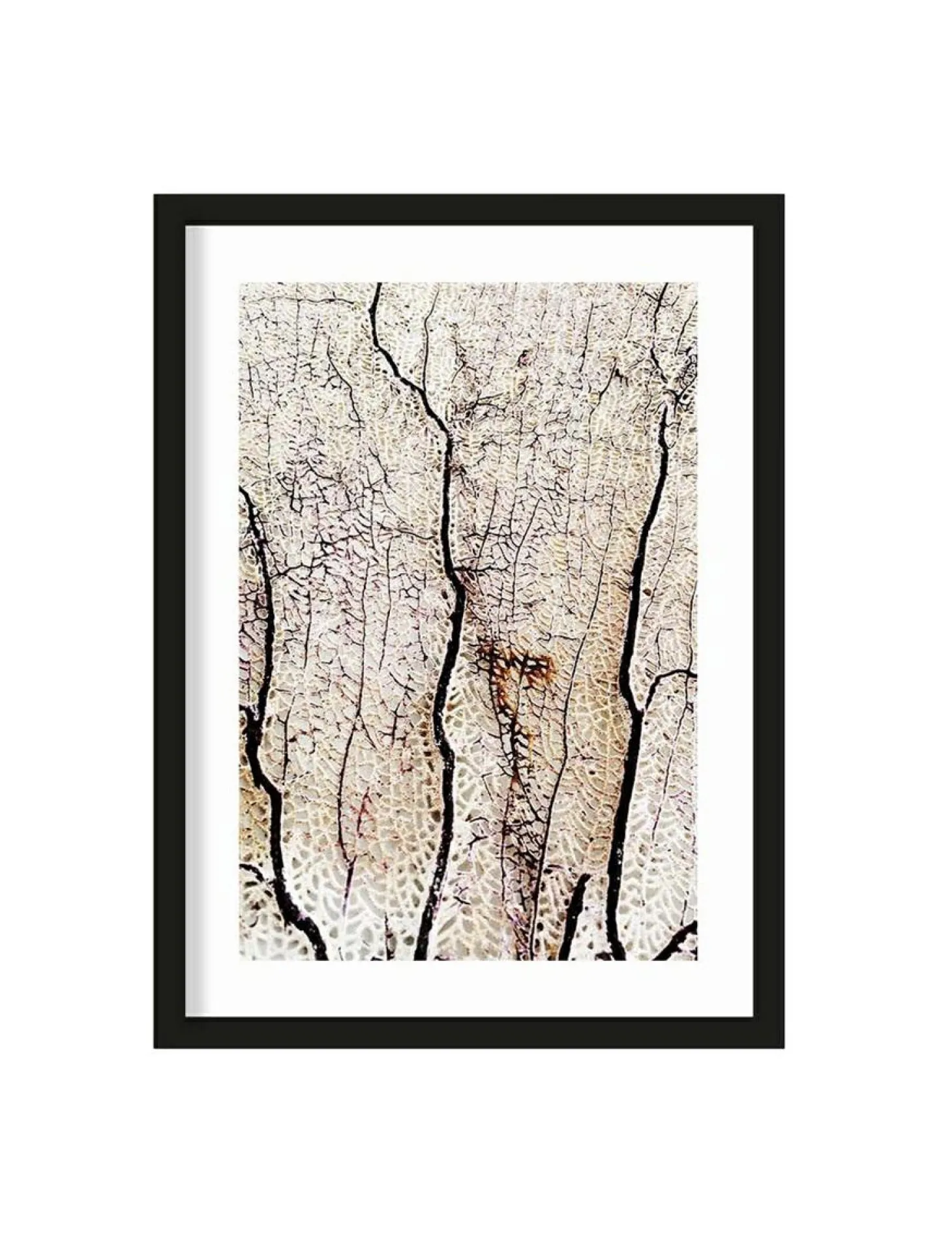 Art Print Soft coral - zelf samenstellen - Loft24.nl