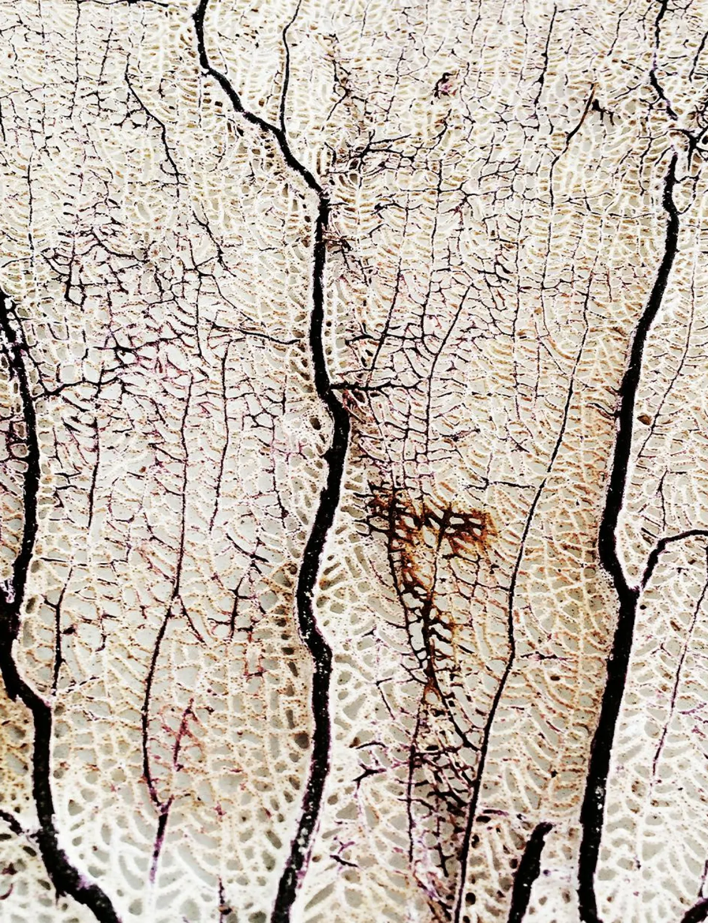 Art Print Soft coral - zelf samenstellen - Loft24.nl