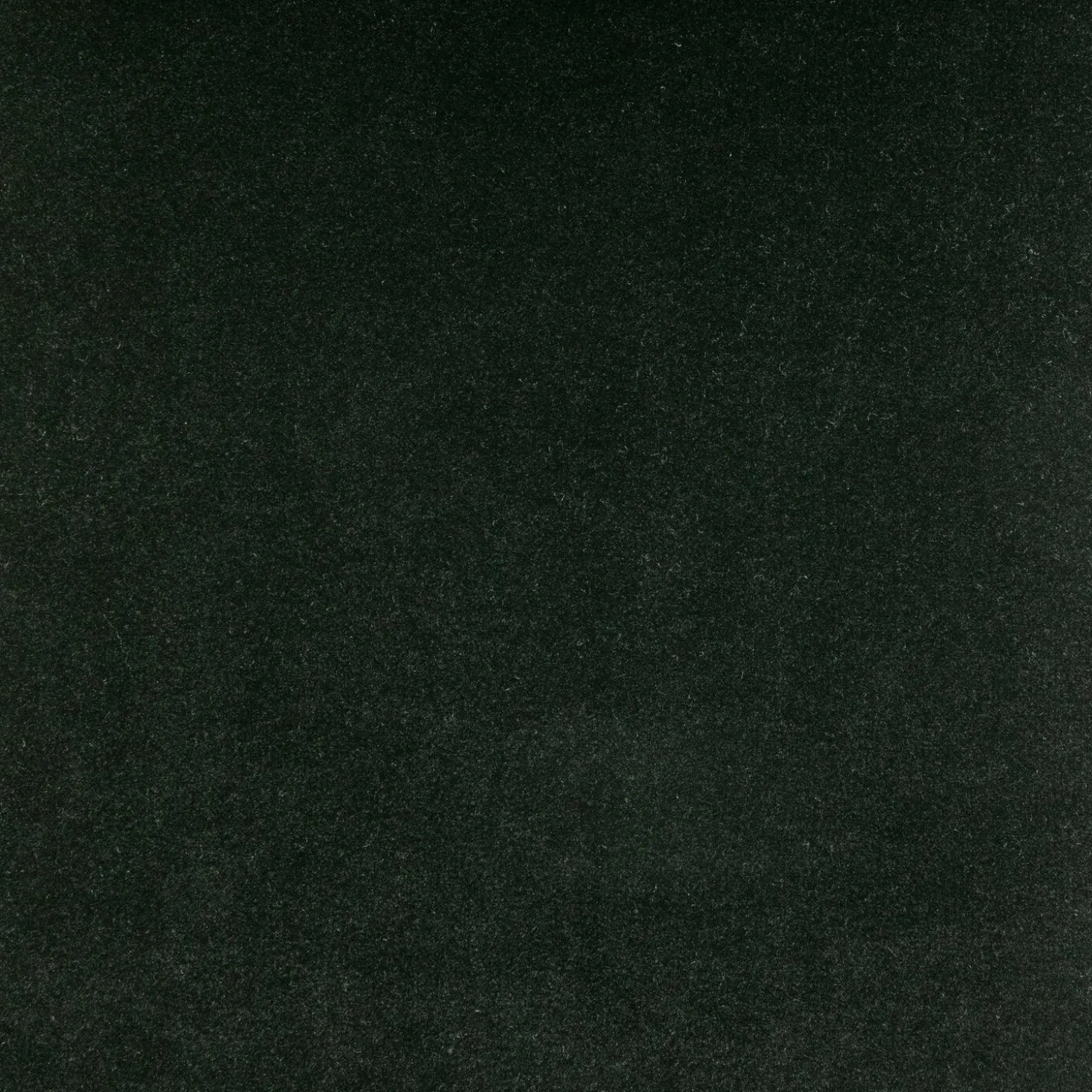 Eetkamerstoel Admit Velvet - Zwart - Loft24.nl