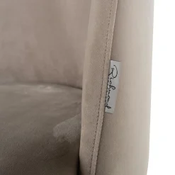 Eetkamerstoel Alicia Velvet - Loft24.nl