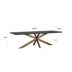 Eettafel Blackbone Eiken 260 x 100 cm met geborsteld gouden spinpoot - Zwart - Loft24.nl