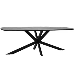 Eettafel Silvi Deens ovaal Mangohout Zwart - 200cm - Loft24.nl