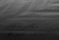 Eettafel Silvi Deens ovaal Mangohout Zwart - 220cm - Loft24.nl