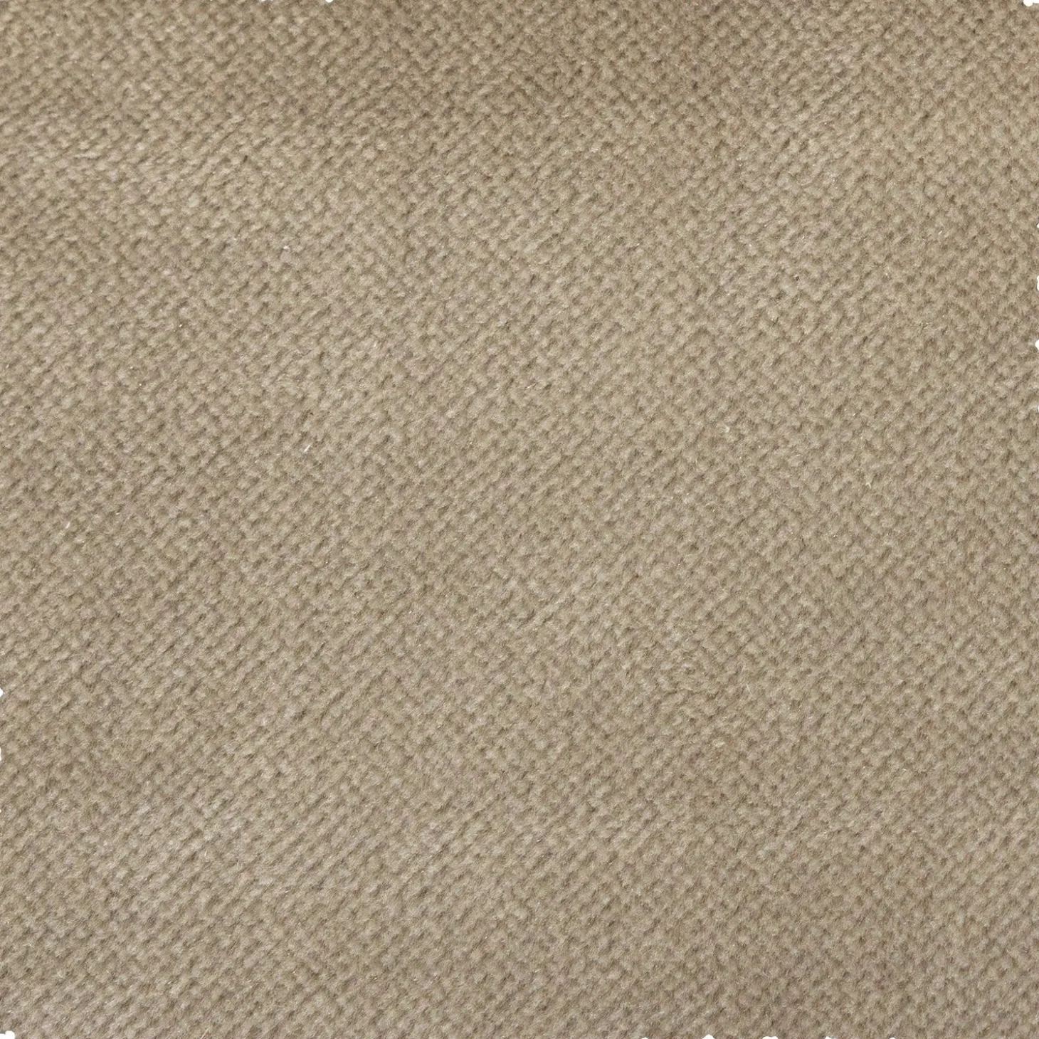 Fauteuil Sara Velvet - Khaki - Loft24.nl