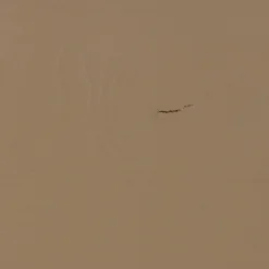 Opbergbank Turner Met kussen, 80cm, kleur Mud - Loft24.nl