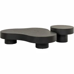 Organische Salontafel Bogor Set van 2 stuks - Zwart - Loft24.nl