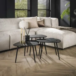 Organische Salontafel Dark Metaal Set van 3 stuks - Zwart - Loft24.nl
