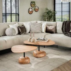 Organische Salontafel Double Acaciahout Set van 2 stuks - Loft24.nl