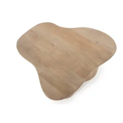 Organische Salontafel Fall Mangohout Set van 2 - Naturel - Loft24.nl