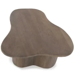 Organische Salontafel Fall Mangohout Set van 2 - Bruin - Loft24.nl