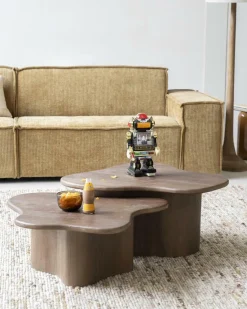 Organische Salontafel Fall Mangohout Set van 2 - Bruin - Loft24.nl