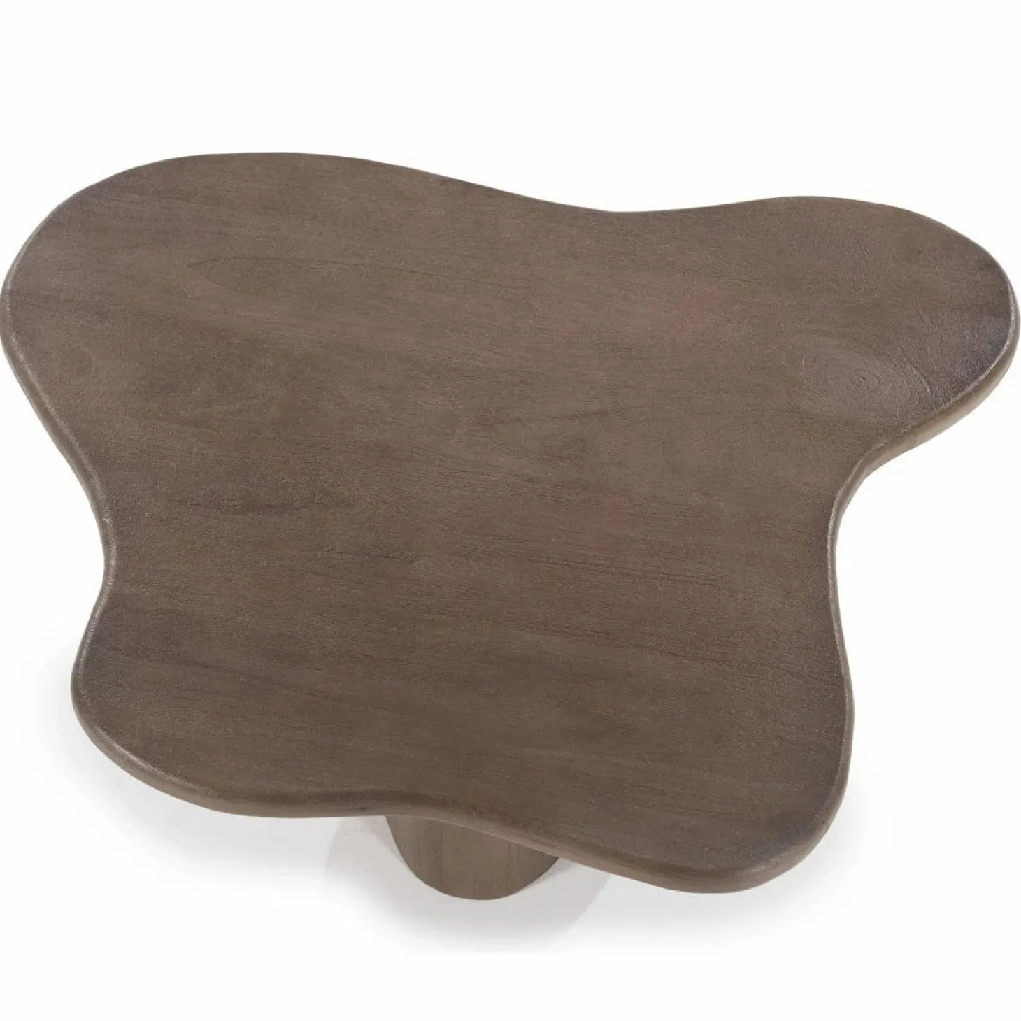 Organische Salontafel Fall Mangohout Set van 2 - Bruin - Loft24.nl