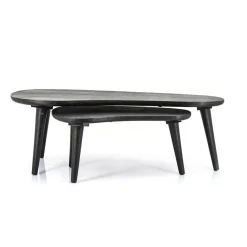 Organische Salontafel Guus Hout set van 2 stuks - Zwart - Loft24.nl