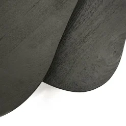 Organische Salontafel Guus Hout set van 2 stuks - Zwart - Loft24.nl