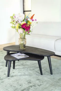 Organische Salontafel Guus Hout set van 2 stuks - Zwart - Loft24.nl