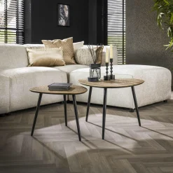 Organische Salontafel Pure Metaal Set van 2 stuks - Brons - Loft24.nl