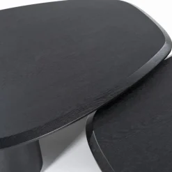 Organische Salontafel Walter Eikenhout Zwart - 96 x 78 cm - Loft24.nl