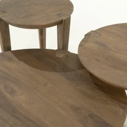 Ronde Salontafel Davina Mangohout - 80 cm - Loft24.nl