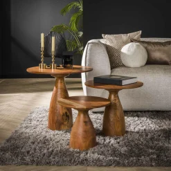 Ronde Salontafel Kiara Acaciahout - Set van 3 stuks - Loft24.nl