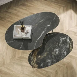 Salontafel Fossil Niervormig Zwart Set van 2 stuks - Loft24.nl