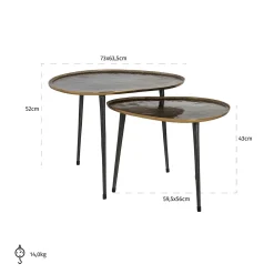 Salontafel Louve set van 2 (Geborsteld Goud) - Loft24.nl