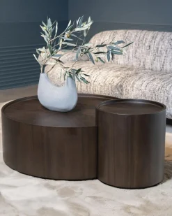 Salontafel Max - Set van 2 stuks - Loft24.nl