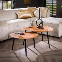 Salontafel Trio Organisch Set van 2 Acaciahout - Loft24.nl