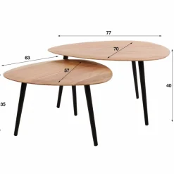 Salontafel Trio Organisch Set van 2 Acaciahout - Loft24.nl