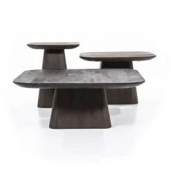 Vierkante Salontafel Aron Mangohout - Bruin 80 cm - Loft24.nl