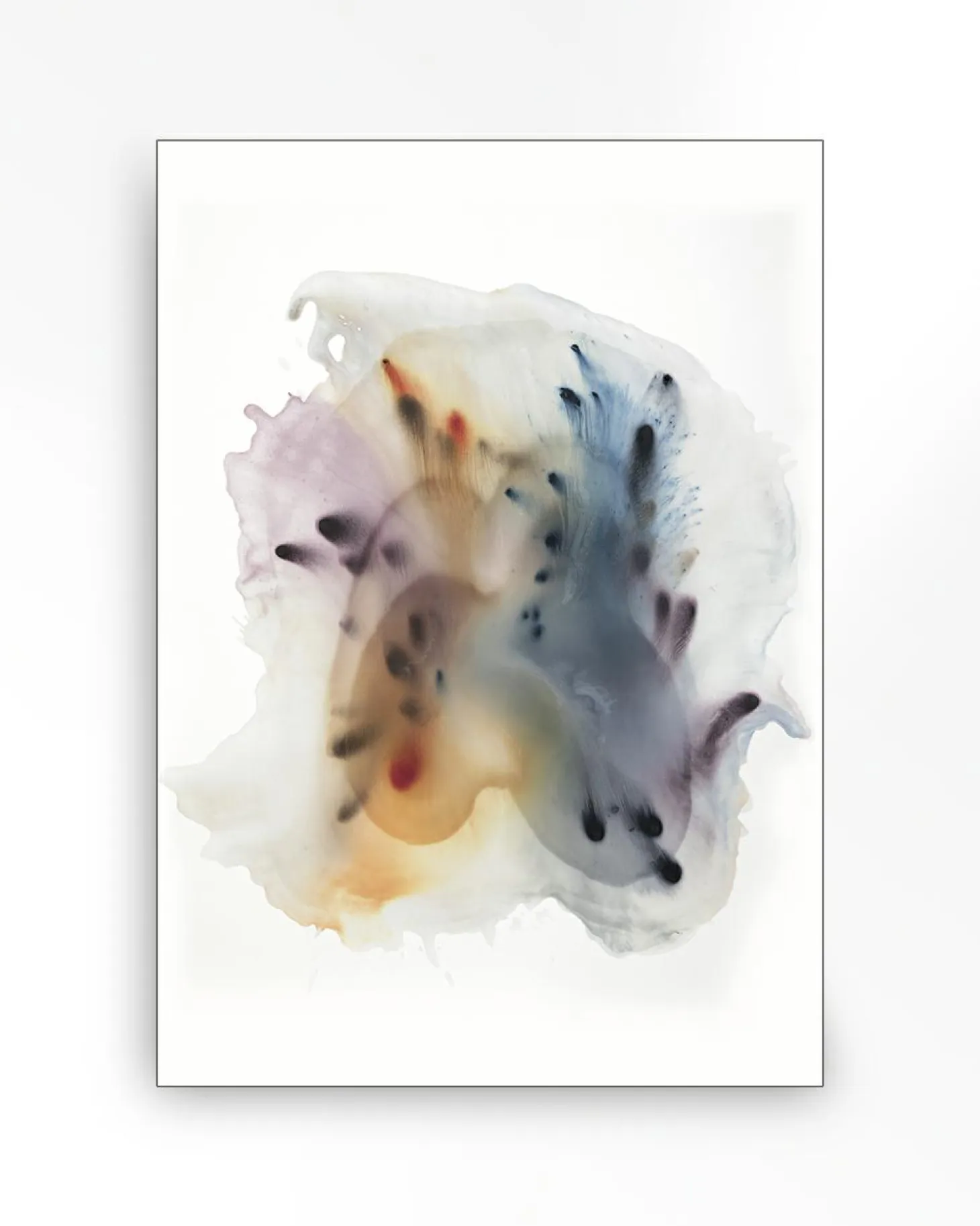 Wandkleed Wild Flower 8 - zelf samenstellen - Loft24.nl